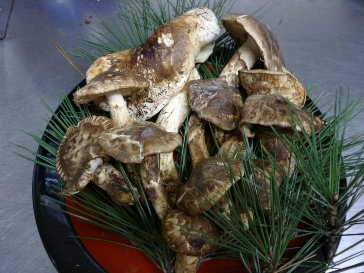 Bunanoyado Koase Aga 外观 照片